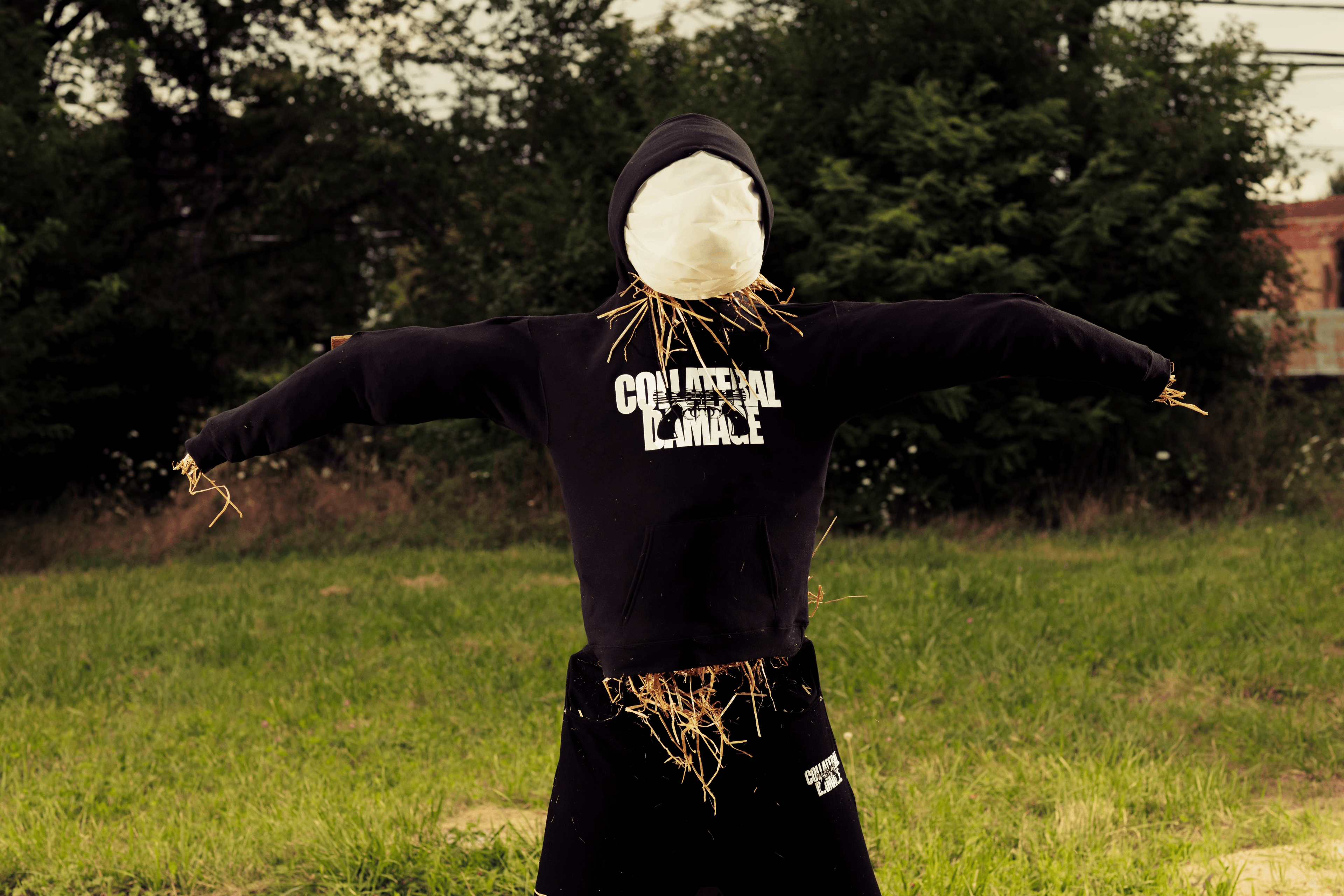 Collateral Damage - Ignorance is Bliss